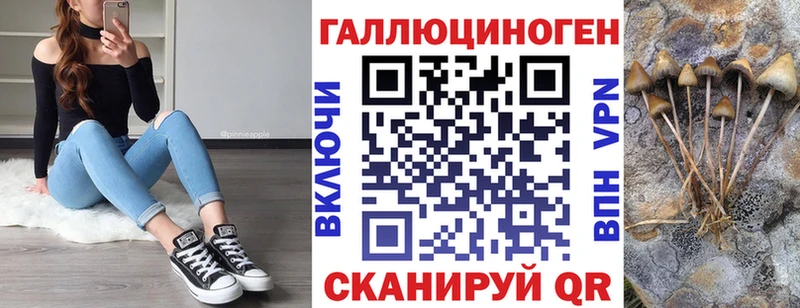mega как зайти  сколько стоит  Саки  Галлюциногенные грибы Cubensis 