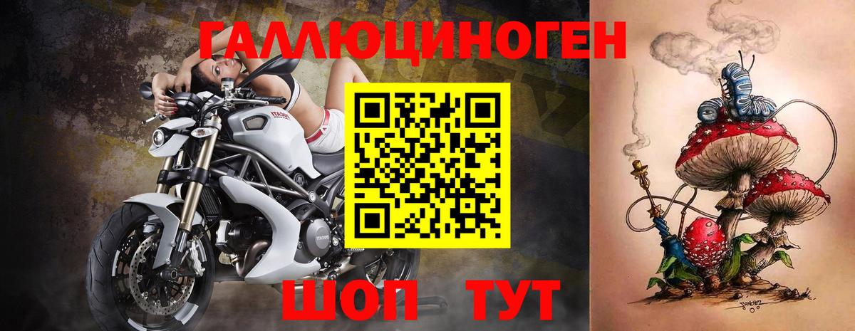 Галлюциногенные грибы Psilocybine cubensis Саки