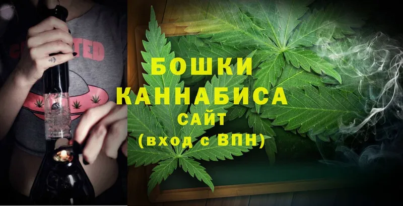 Шишки марихуана OG Kush  МЕГА онион  Саки  где купить наркоту 